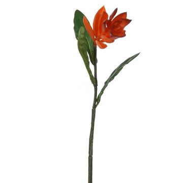 Kunstblume Roter Ingwer FALVENIA, dunkelorange, 50cm