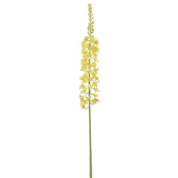 Dekoblume Steppenkerze ELINARY, gelb, 80cm Dekoblume Steppenkerze ELINARY, gelb, 80cm
