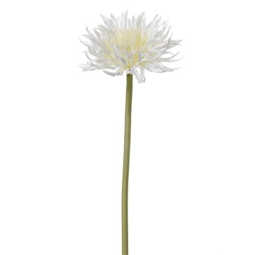 Kunstblume Gerbera YORUMA, creme, 50cm Kunstblume Gerbera YORUMA, creme, 50cm