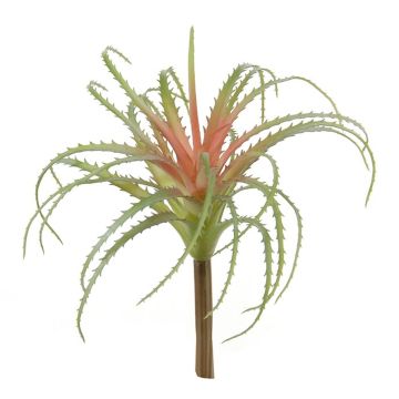Kunst Sukkulente Tillandsia Stricta LUONG, Steckstab, grün-rot, 22cm