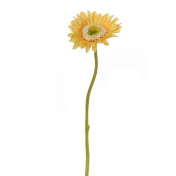 Kunstblume Gerbera KEIRAN, dunkelgelb, 28cm Kunstblume Gerbera KEIRAN, dunkelgelb, 28cm
