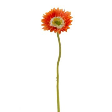 Kunstblume Gerbera KEIRAN, orange, 28cm Kunstblume Gerbera KEIRAN, orange, 28cm