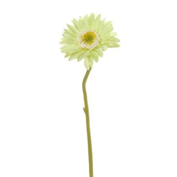 Kunstblume Gerbera KEIRAN, hellgrün, 28cm Kunstblume Gerbera KEIRAN, hellgrün, 28cm