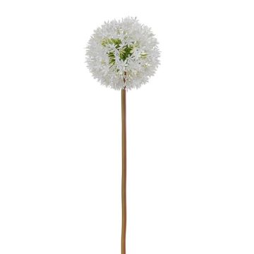 Kunstblume Allium MADELIA, weiß, 80cm Kunstblume Allium MADELIA, weiß, 80cm