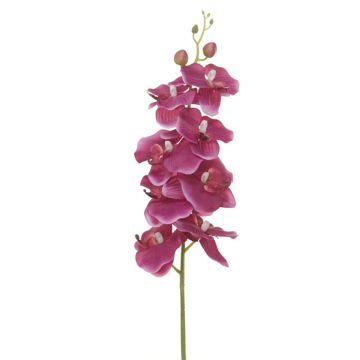 Kunstblume Phalaenopsis Orchidee RIESSA, cerise, 95cm Kunstblume Phalaenopsis Orchidee RIESSA, cerise, 95cm