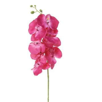 Kunstblume Phalaenopsis Orchidee GIENNA, cerise, 100cm Kunstblume Phalaenopsis Orchidee GIENNA, cerise, 100cm