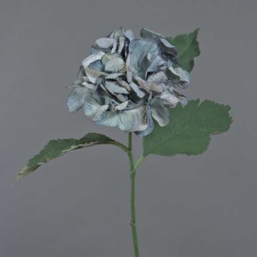 Kunstblume Hortensie GUNILLA, Eco Collection, grau-blau, 60cm, Ø12cm Kunstblume Hortensie GUNILLA, Eco Collection, grau-blau, 60cm, Ø12cm