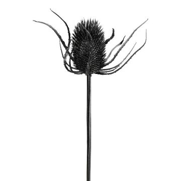 Künstliche Blume Edeldistel DRINTA, schwarz, 75cm Künstliche Blume Edeldistel DRINTA, schwarz, 75cm