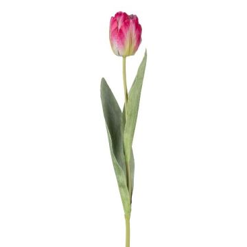 Dekoblume Tulpe GUSNAV, pink-grün-weiß, 50cm, Ø5cm Dekoblume Tulpe GUSNAV, pink-grün-weiß, 50cm, Ø5cm