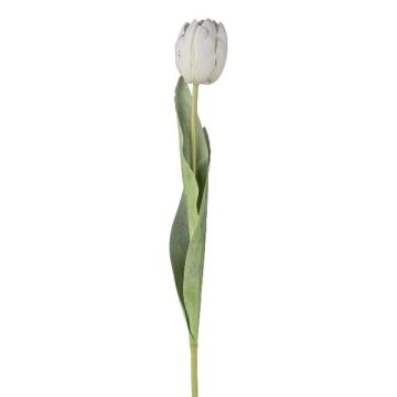 Dekoblume Tulpe GUSNAV, weiß, 50cm, Ø5cm Dekoblume Tulpe GUSNAV, weiß, 50cm, Ø5cm