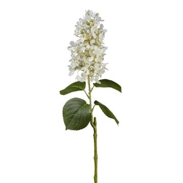 Plastikblume Rispen-Hortensie KINELY, weiß, 75cm