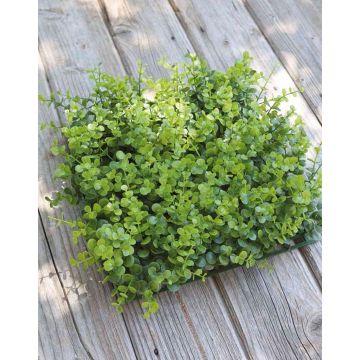 Kunststoff Eukalyptus Hecke / Matte SERAFINO, grün, 35x35cm Kunststoff Eukalyptus Hecke / Matte SERAFINO, grün, 35x35cm