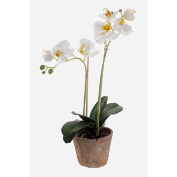 Kunst Phalaenopsis Orchidee MINA im Terracotta Topf, weiß, 45cm