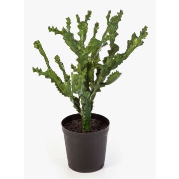 Kunstpflanze Kaktus Euphorbia trigona TIKO, grün, 75cm
