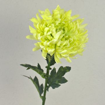 Chrysantheme künstlich KESARA, creme-grün, 65cm, Ø16cm