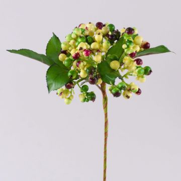 Kunstzweig Holunderbeere HELMA mit Beeren, hellgrün-rot, 30cm Kunstzweig Holunderbeere HELMA mit Beeren, hellgrün-rot, 30cm