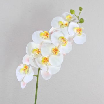 Phalaenopsis Orchideenzweig künstlich OPHELIA, weiß, 100cm, Ø9-12cm