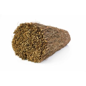 Sichtschutz Matte LUKE aus Heide, braun, 500cmx200cm Sichtschutz Matte LUKE aus Heide, braun, 500cmx200cm