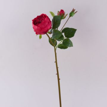 Kohl-Rose künstlich MIRETTA, rot, 60cm, Ø3-9cm Kohl-Rose künstlich MIRETTA, rot, 60cm, Ø3-9cm