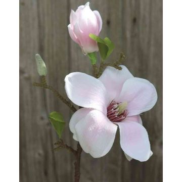 Kunstblume Magnolienzweig FEMI, zartrosa, 35cm, Ø12cm
