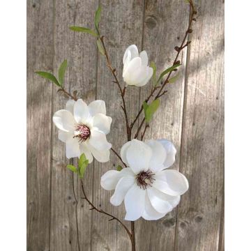Künstlicher Magnolienzweig FINAH, creme-weiß, 90cm, Ø9-15cm