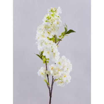 Kunstblumen Kirschblütenzweig MATSUDA mit Blüten, creme-weiß, 80cm, Ø6-11cm Kunstblumen Kirschblütenzweig MATSUDA mit Blüten, creme-weiß, 80cm, Ø6-11cm