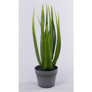 Künstliche Aloe Vera NAMIKA im Dekotopf, grün, 60cm, Ø60cm Künstliche Aloe Vera NAMIKA im Dekotopf, grün, 60cm, Ø60cm