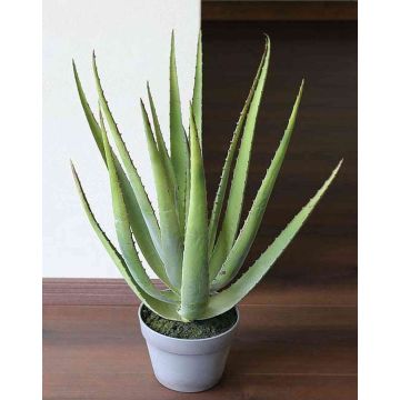Künstliche Aloe Vera NAMIKA im Dekotopf, grün, 60cm, Ø60cm