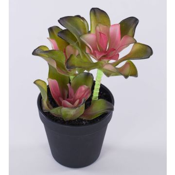 Echeveria gibbiflora künstlich SHAUNA im Dekotopf, grün-violett, 25cm Echeveria gibbiflora künstlich SHAUNA im Dekotopf, grün-violett, 25cm