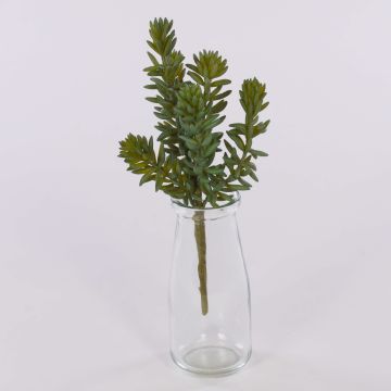 Kunst Pachyphytum hookeri LUDO auf Steckstab, grün-grau, 20cm, Ø12cm