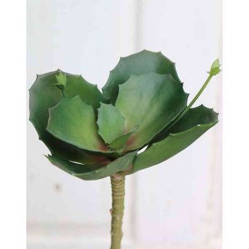 Künstliche Kalanchoe thyrsiflora STAMATIA auf Steckstab, grün, 20cm, Ø17cm