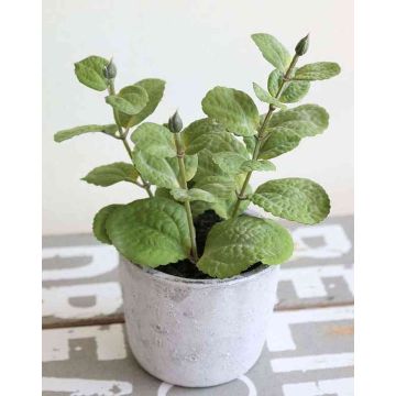 Deko Minze künstlich ALBUS im Betontopf, grün, 17cm Deko Minze künstlich ALBUS im Betontopf, grün, 17cm
