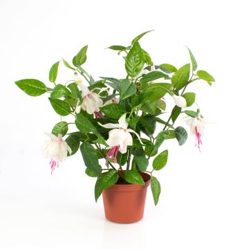 Künstliche Fuchsie THAYNARA, zartrosa, 30cm, Ø5cm Künstliche Fuchsie THAYNARA, zartrosa, 30cm, Ø5cm