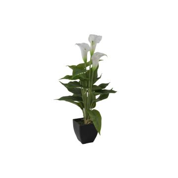 Plastik Calla JAMILA im Dekotopf, weiß, 40cm, 4x6cm Plastik Calla JAMILA im Dekotopf, weiß, 40cm, 4x6cm