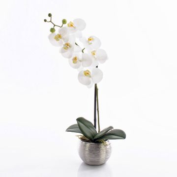 Kunstorchidee Phalaenopsis EMILIA, Dekotopf, weiß, 45cm Kunstorchidee Phalaenopsis EMILIA, Dekotopf, weiß, 45cm