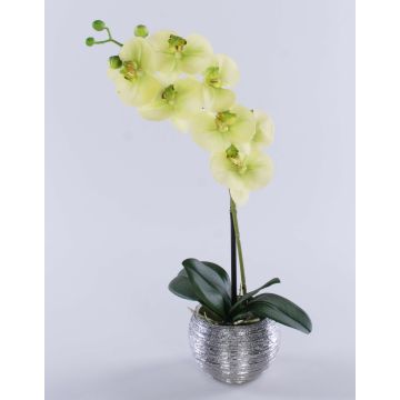 Kunstorchidee Phalaenopsis EMILIA, Dekotopf, creme-grün, 45cm Kunstorchidee Phalaenopsis EMILIA, Dekotopf, creme-grün, 45cm