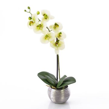 Kunstorchidee Phalaenopsis EMILIA, Dekotopf, creme-grün, 45cm