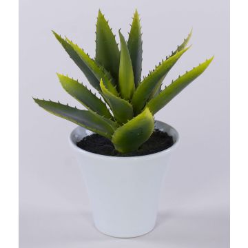 Künstliche Aloe Vera ROSALINA im Keramiktopf, grün, 21cm Künstliche Aloe Vera ROSALINA im Keramiktopf, grün, 21cm