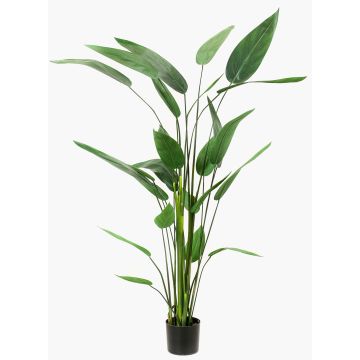 Kunstpflanze Heliconia ANURIA, 175cm
