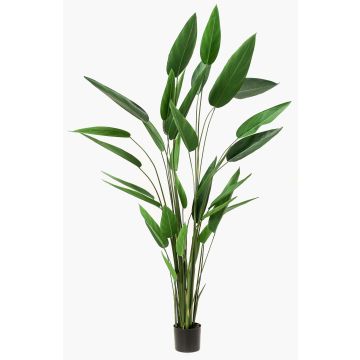 Kunstpflanze Heliconia ANURIA, 220cm