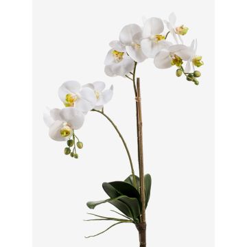 Kunstorchidee Phalaenopsis CANDIDA auf Steckstab, weiß, 65cm