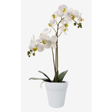 Kunstorchidee Phalaenopsis CANDIDA im Keramiktopf, weiß, 65cm