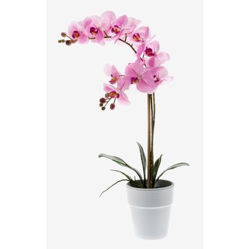 Kunstorchidee Phalaenopsis CANDIDA im Keramiktopf, rosa, 65cm