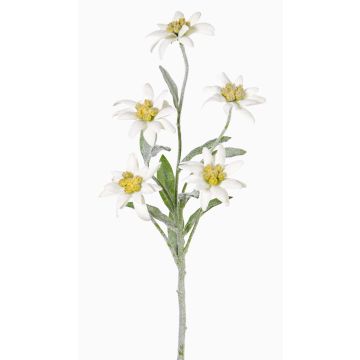 Künstliches Alpen Edelweiß SOPHIA, weiß, 40cm, Ø5-6cm