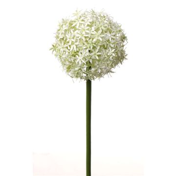 Künstlicher Allium SAMARA, weiß-grün, 75cm, Ø12cm