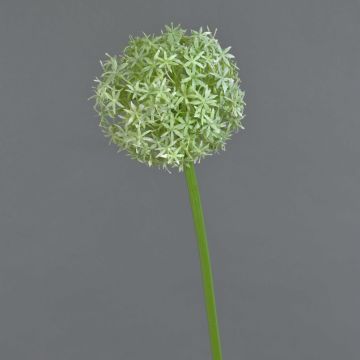 Künstlicher Allium SAMARA, weiß-grün, 75cm, Ø12cm