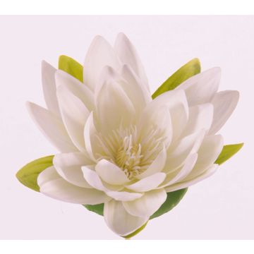 Seerose künstliche SCILLA, schwimmend, creme, 4cm, Ø16cm