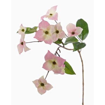 Unechter Zweig Japanischer Hartriegel KOHANA mit Blüten, rosa-creme, 65cm, Ø4-8cm Unechter Zweig Japanischer Hartriegel KOHANA mit Blüten, rosa-creme, 65cm, Ø4-8cm