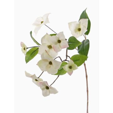 Unechter Zweig Japanischer Hartriegel KOHANA mit Blüten, creme, 65cm, Ø4-8cm Unechter Zweig Japanischer Hartriegel KOHANA mit Blüten, creme, 65cm, Ø4-8cm