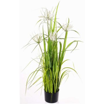 Künstliches Sterngras TAIGA mit Rispen, grün, 110cm